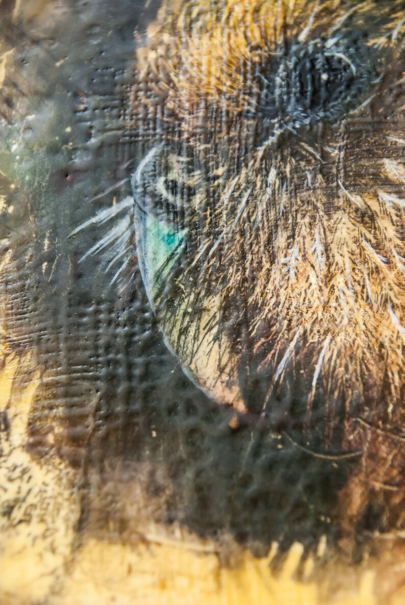 Kakapo Sinbad