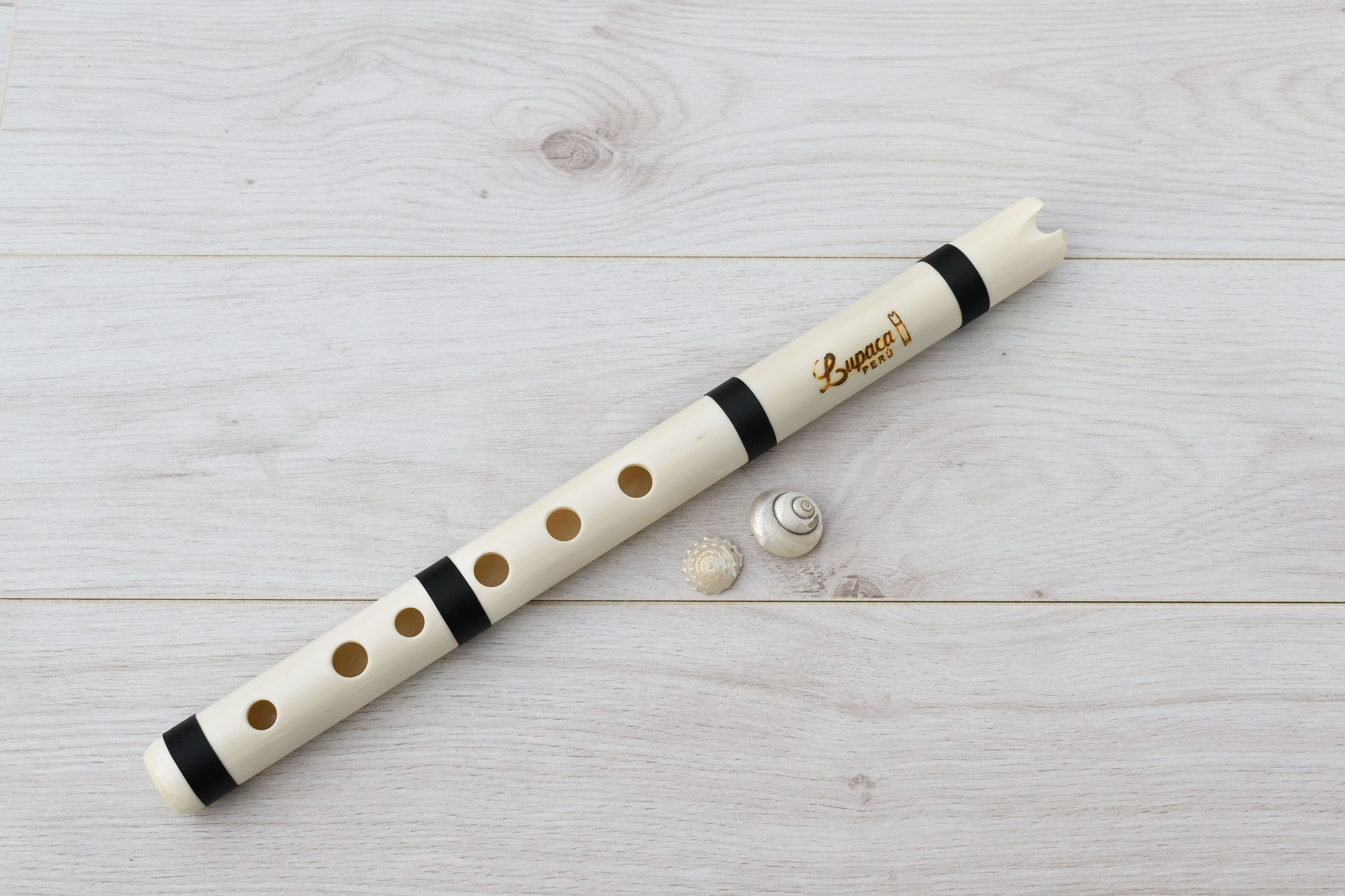 Bansuri Flöte Bambus A 432 hz inkl. Hartschalenköcher