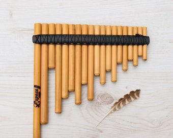 Pan Flute ~ Professional Rondador Panpipe ~ Key in D minor with case