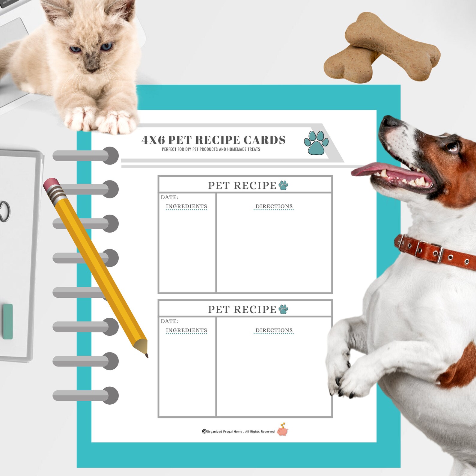 Pet Recipe Cards 4x6 Recipe Cards Printable Pet Recipe Etsy