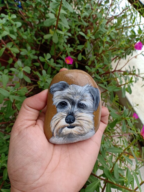 natural schnauzer