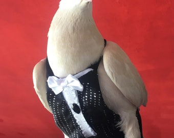 Flyper In stock Boy Tuxedo bird diapers ELITE HANDCRAFTED Flypers with handsewn trim, range of sizes with leash ring