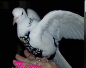 Size 5 Dove Flyper for Bird 160g – 180g Diaper Flyper for Senegal/Indian Ringneck/Conure Nanday/Red Masked/Parakeet/Dove bird diaper harness