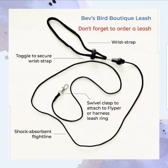 Pannolino Per Pappagalli E Uccelli - Tuta Volo Lavabile Con Fodera Impermeabile | Fangz - Foto 12