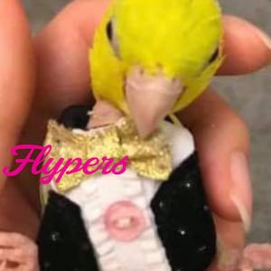 Size 0 Parakeet Flyper for Bird 20-30gm Parakeet (Budgie), Diaper Flyper for Pacific Parrotlet (Young), Diamond Dove flight suit, bird nappy
