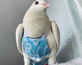 In USA Stock special trim Bird diaper ELITE HANDCRAFTED Flypers with hand sewn trim, range sizes with leash ring pigeon pants bird harness