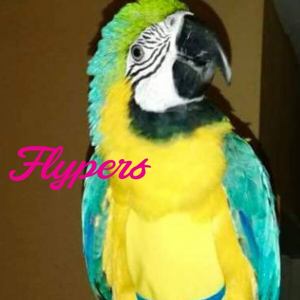 Bird Wing Costume Etsy