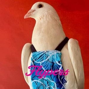 Size 16 Pigeon Flyper Bird Diaper for Pigeon Size, King Pigeon, Runt Pigeon, Modena Pigeon, Capuchin Pigeon harness suit with leash ring