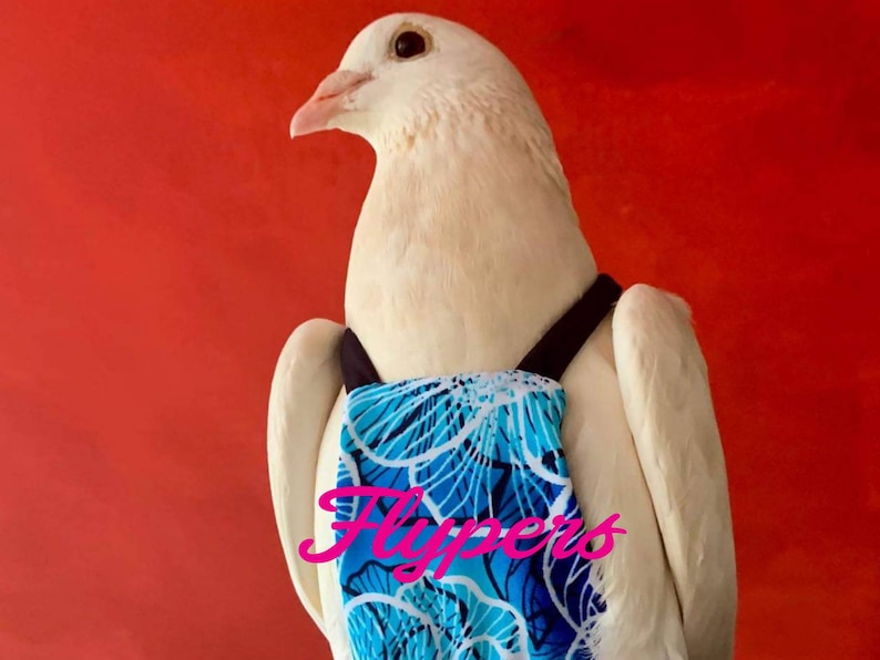 Size 16 Pigeon Diaper Flyper for Birds Pigeon Size King Etsy