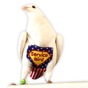 Service Bird Flyper Parrot in Size 9.5, 500-550gm for Flyper for emotional support pet bird diapers HANDCRAFTED label bib with leash ring