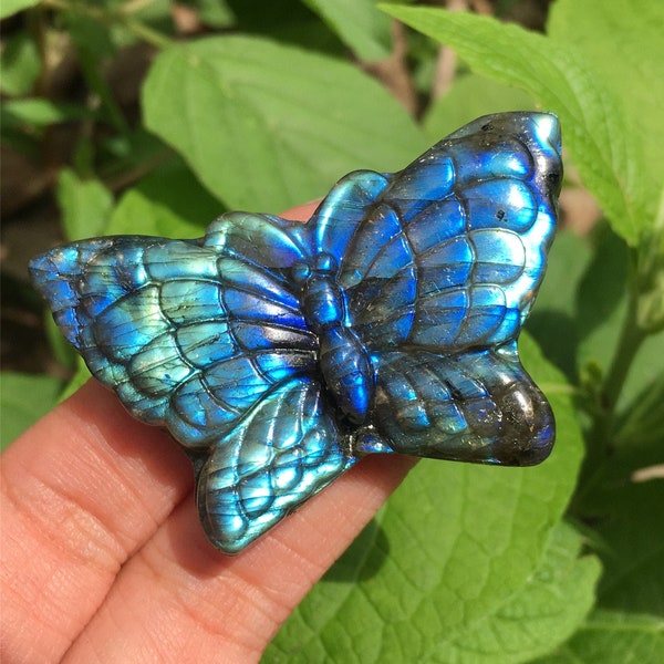 1PC Natural  Labradorite Butterfly,Quartz Crystal Butterfly,Crystal Carved,Mineral samples,Home Decoration,Reiki healing,Crystal Gifts 15g+