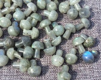 10pcs Natural Labradorite Mushroom Carved Quartz Crystal ,Crystal carving,Mineral specimen,Home decoration,Reiki healing