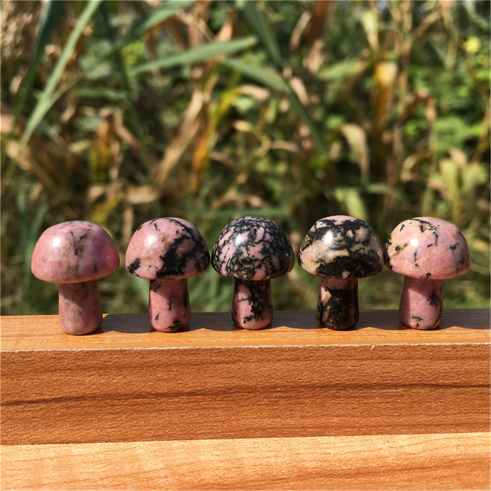 10pcs Natural Rhodonite Mushroom Carved Quartz Crystal - Etsy