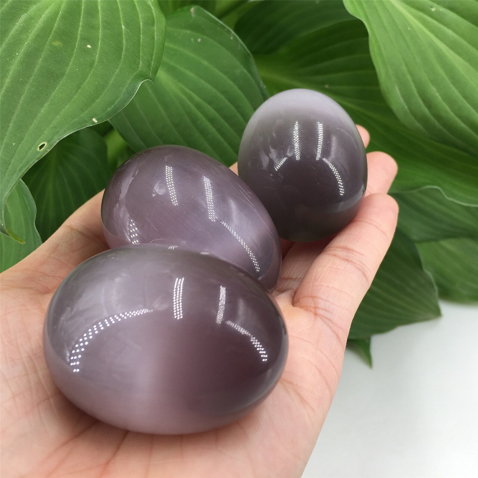 80g Purple Cat's Eye Jasper EggQuartz EggCrystal Etsy