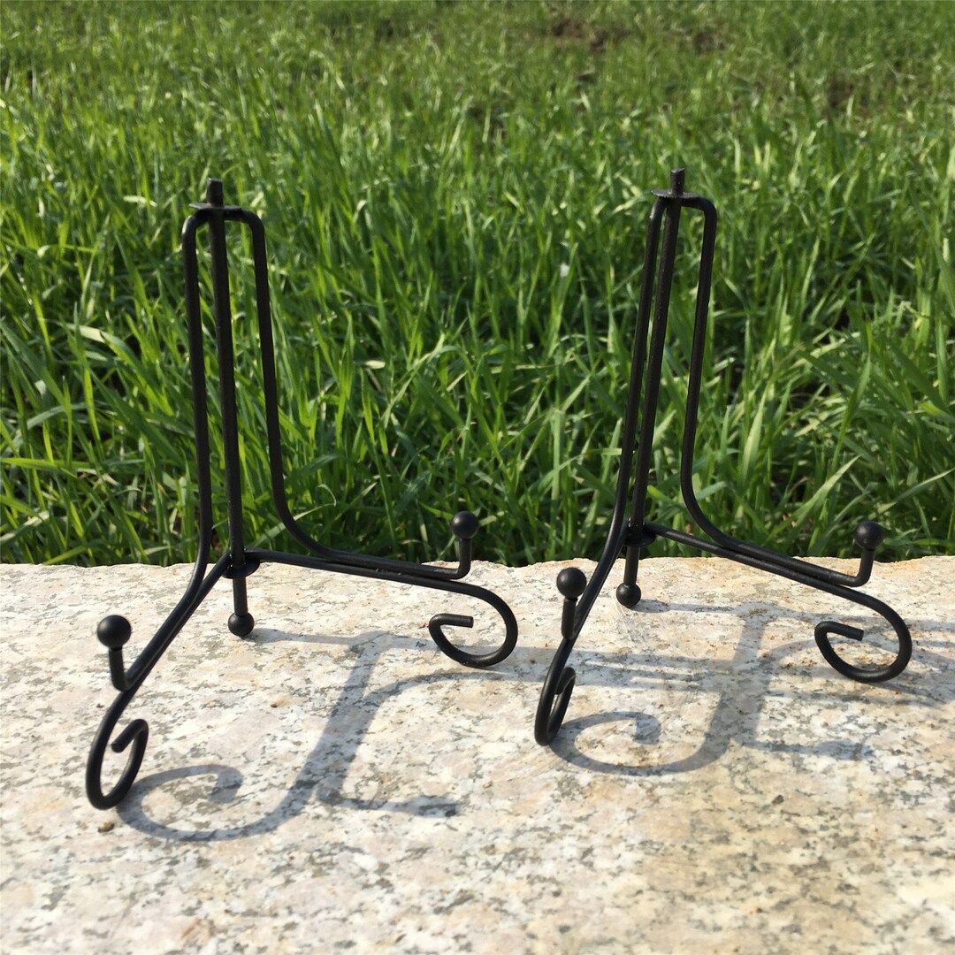 1PC Natural Ammonite Fossil Stents,ammonoid Base,ammonoid Stand,home