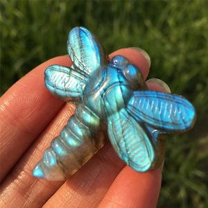 1PC Natural Labradorite Dragonfly,Quartz Crystal Dragonfly,Crystal Carved,Mineral samples,Home Decoration,Reiki healing,Crystal Gift 30g+