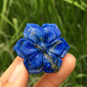 1PC Natural Lapis Lazuli Flower,Quartz Crystal Flower,Crystal Carving,Home Decoration,Stone,Mineral Specimen,Crystal Heal,Crystal Gift 20g+