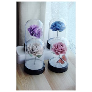 Paper Rose in a Dome