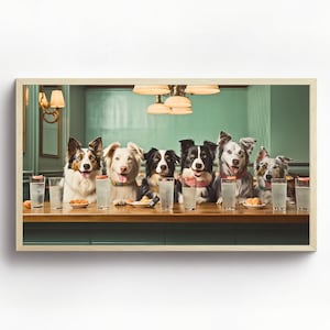 Puede incluir: Seis perros, todos border collies, están sentados en una barra con vasos de agua delante de ellos. Los perros están mirando todos a la cámara. La barra es verde y tiene una encimera de madera. Hay algunos aperitivos en la encimera delante de los perros.