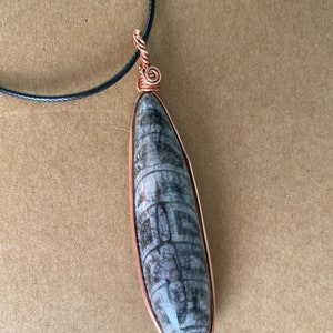 Orthoceras Fossil Necklace