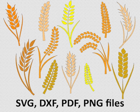 Download Wheat Svg Grain Svg Wheat Clipart Cut Files Cricut Etsy