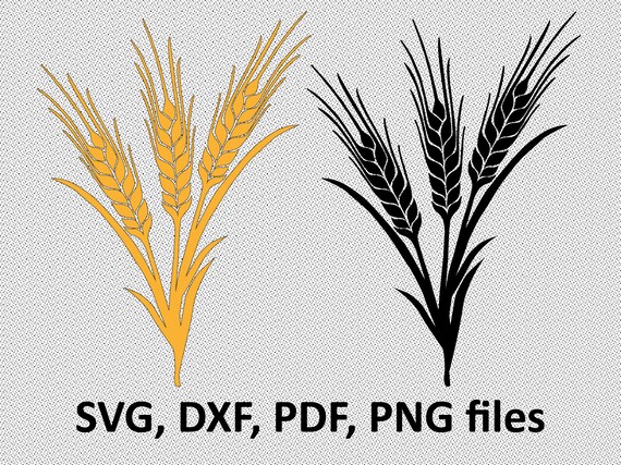 Download Barley Svg Wheat Harvest Svg Wheat Clipart Wheat Svg File Etsy