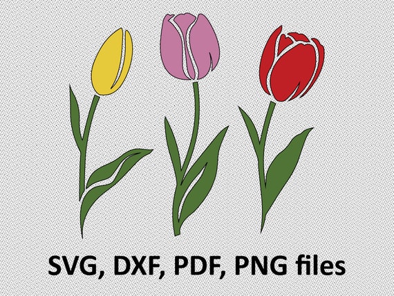Tulips Svg Tulip Svg Tulip Clipart Tulips Clipart Tulip Etsy