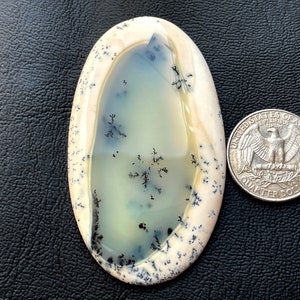 Pietra preziosa naturale di agata dendritica cabochon, lucidata a mano, forniture all'ingrosso per la creazione di gioielli