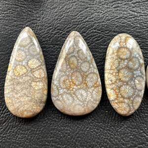 3 peças de cabochão de coral fóssil natural em formato misto, cabochão com desconto, pingente de prata