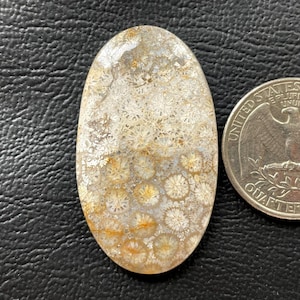 Cabochon de pierres précieuses de corail fossile naturel 42x24x4 mm en vrac semi-précieuses pierres précieuses de corail fossile en gros Cabochon de bijoux en fil métallique