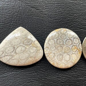 2 Pieces Natural Fossil Coral Cabochon Mix Shape Amazing Design Loose Gemstone Wholesale Price