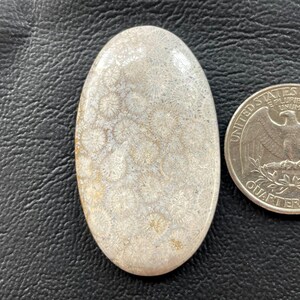 Cabochão de coral fóssil natural 46x26x5 mm formato oval, cabochão com desconto, pingente de prata