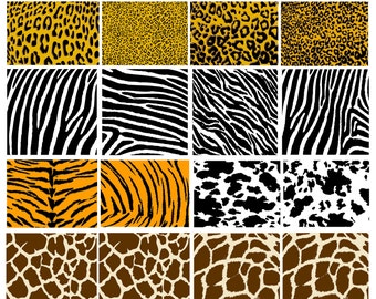 Download Free Zebra Svg Etsy SVG Cut Files
