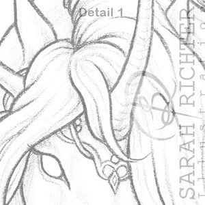May include: A close-up of a pencil drawing of a woman's face. The drawing is detailed and shows the woman's hair, eyes, and nose. The drawing is signed "SARAH RICHTER Illustrations".