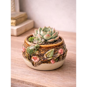 May include: A round ceramic planter with a succulent plant. The planter is brown with embossed floral and leaf designs, and pink and green accents. The succulent has green and pink leaves.