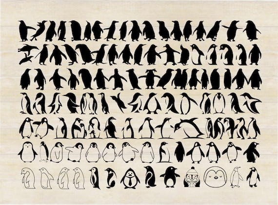 PENGUIN SVG BUNDLE, Penguin vector bundle, Penguin silhouette, Penguins for cricut and silhouette, svg/png/jpeg/eps/dxf