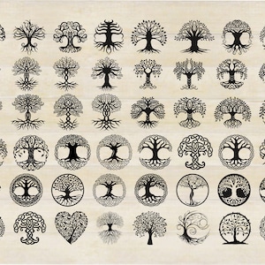 50 CELTIC TREE SVG Design 2023, Fascio Albero della Vita, Siluetta dell'albero celtico, Albero celtico per cricut e silhouette, svg/png/jpeg/eps/dxf