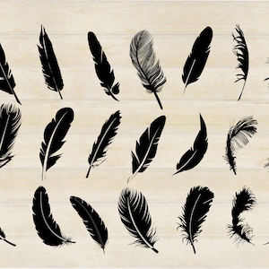 21 FEATHER DESIGN BUNDLE, Feather Bundle Clipart, Feather vector set svg/png/ai/pdf/jpeg gesneden bestanden