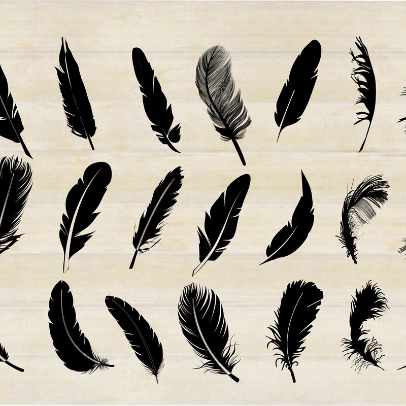 Feather Design - Etsy