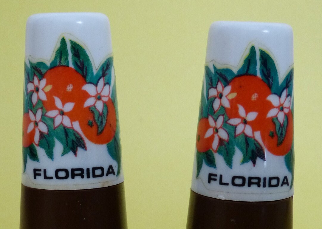 Florida Fort Lauderdale Souvenir Salt & Pepper Shakers Plastic 4 Etsy