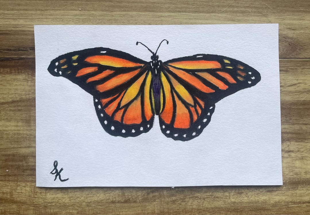 4x6 Monarch Scientific Illustration - Etsy