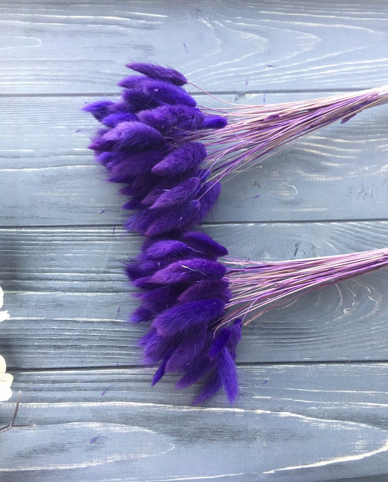 40 cm Length fo Floral Decor Rustic Home Decor 50 PCS Dried Lagurus Ovatus Flower Bunches Harr/'s Tail Grass Floral Arrangement