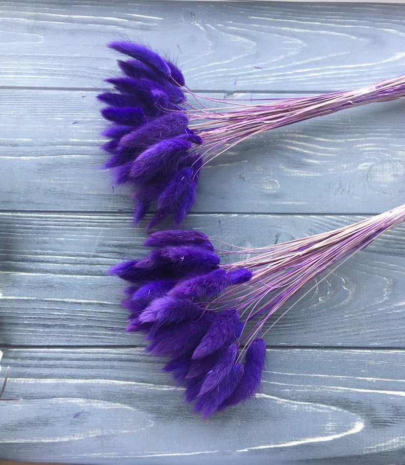 40 cm Length fo Floral Decor Rustic Home Decor 50 PCS Dried Lagurus Ovatus Flower Bunches Harr/'s Tail Grass Floral Arrangement