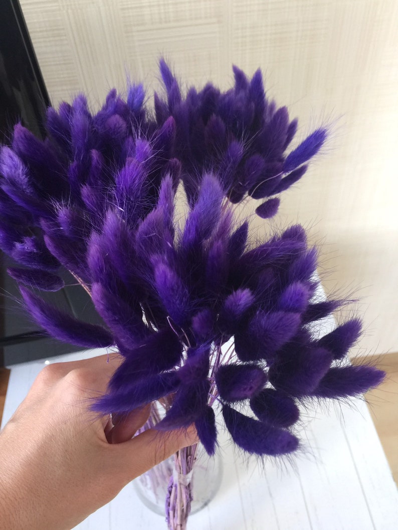 40 cm Length fo Floral Decor Rustic Home Decor 50 PCS Dried Lagurus Ovatus Flower Bunches Harr/'s Tail Grass Floral Arrangement