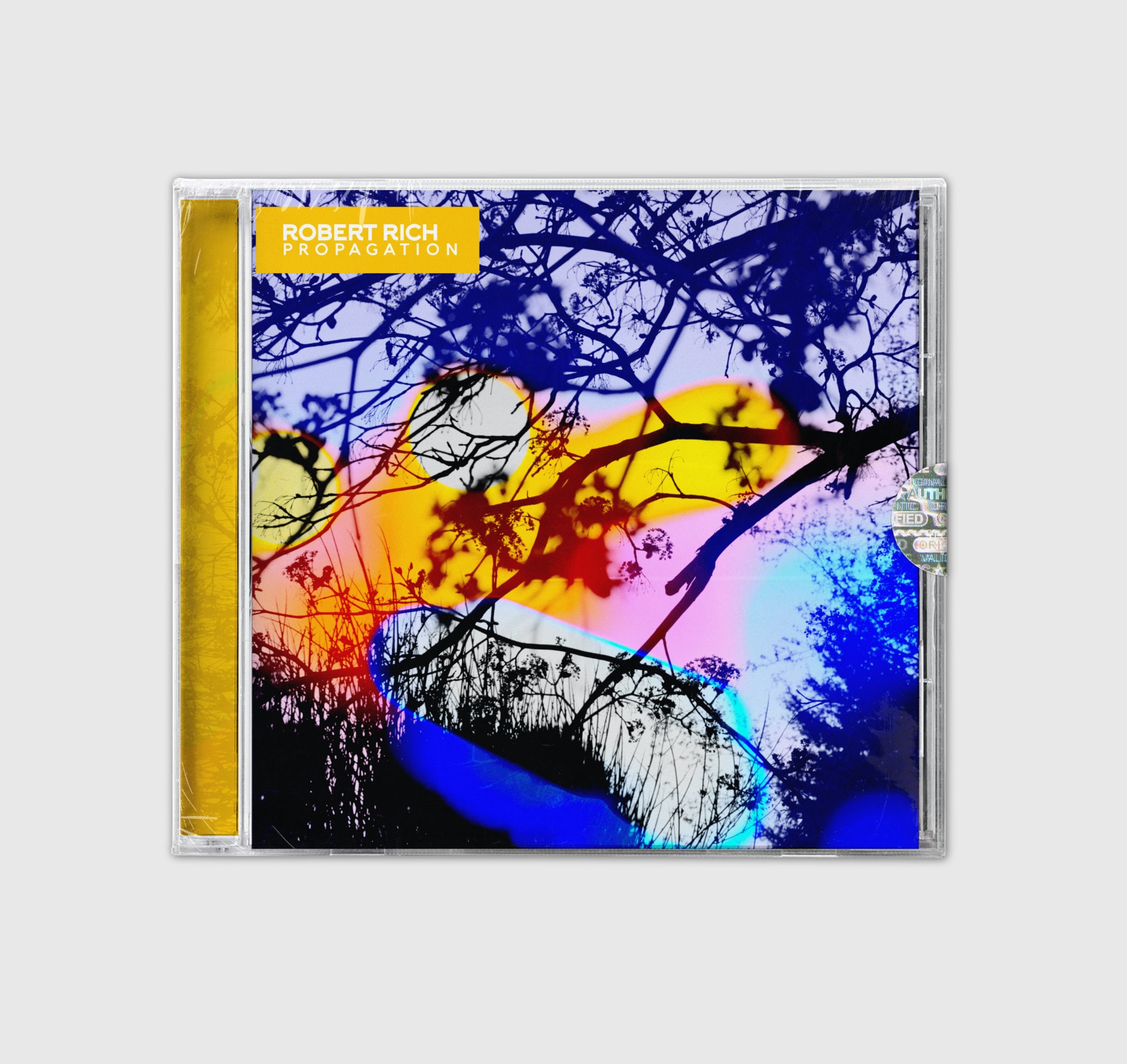 Music Cover Design, DIGITAL Album Cover Art, Music Art, Custom