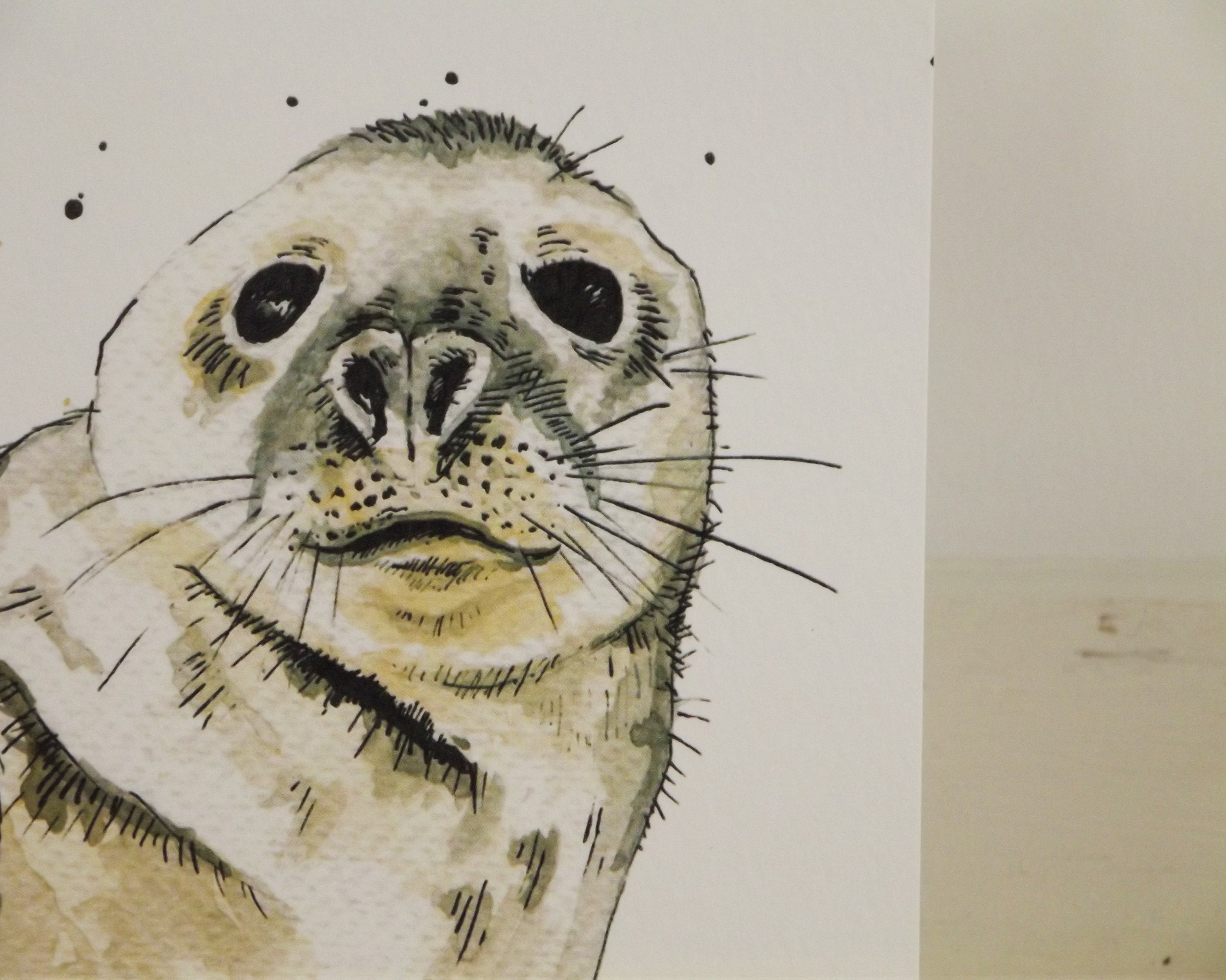 Grey Seal Greeting Card Cards Gift Wrap Stationery Blank Etsy