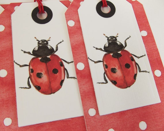 ladybird gift