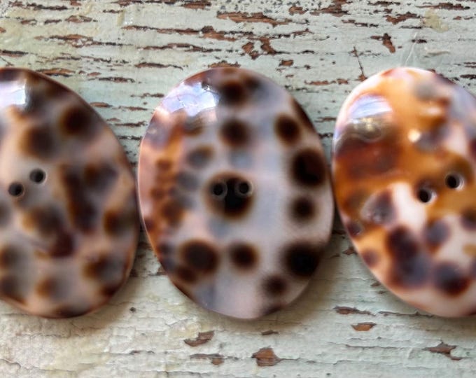 Oval Shell Buttons - Etsy