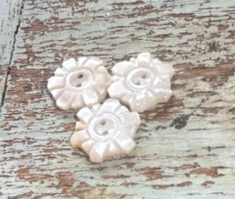 Carved Shell Button - Etsy