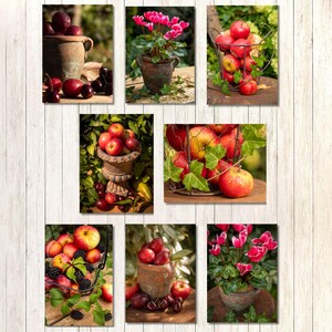 May include: Seven framed art prints depicting still life arrangements. The prints feature apples, plums, and blackberries in rustic containers and baskets. The colour scheme is dominated by reds, greens, and browns, creating a warm and inviting aesthetic. The prints are displayed on a wooden background.